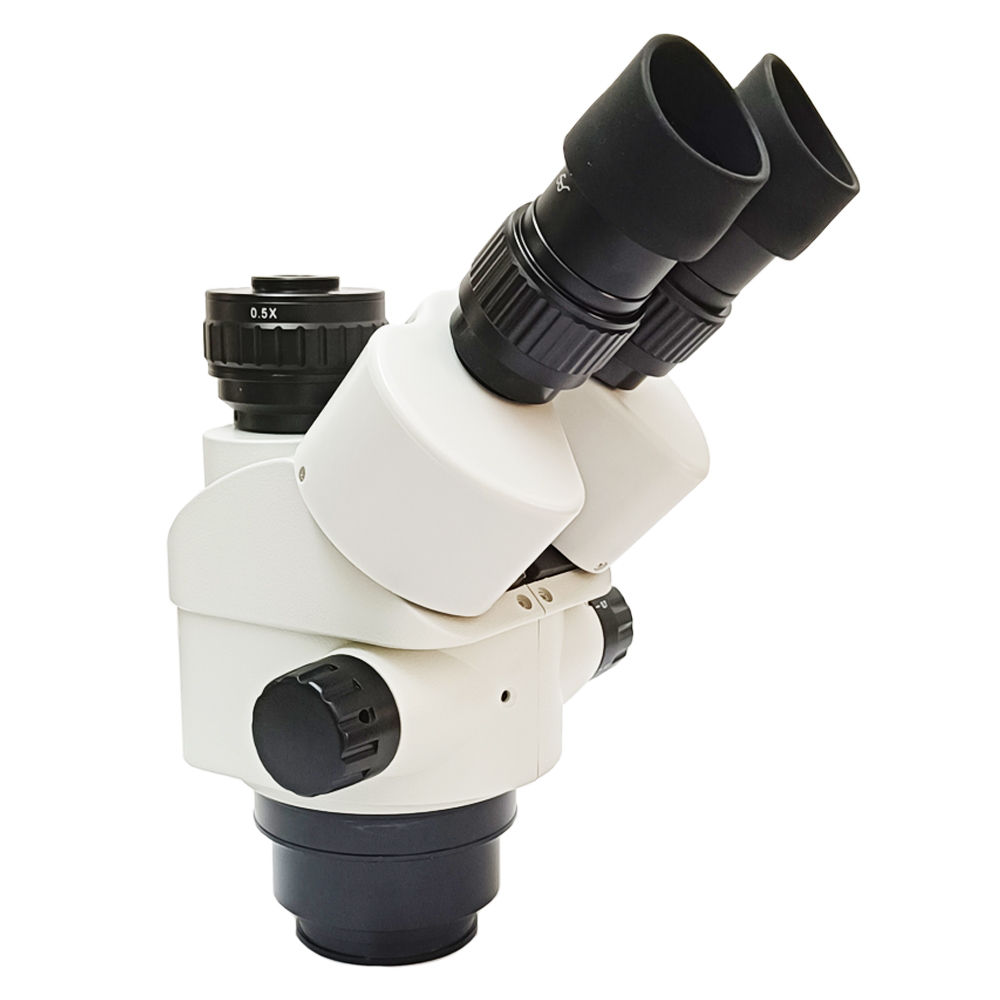 Testa per microscopio trinocul - Trinocular Stereo Microscope 7X-45X recensione e prezzo