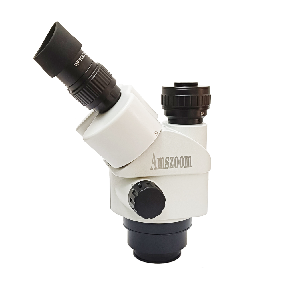 Testa per microscopio trinocul - Trinocular Stereo Microscope 7X-45X recensione e prezzo