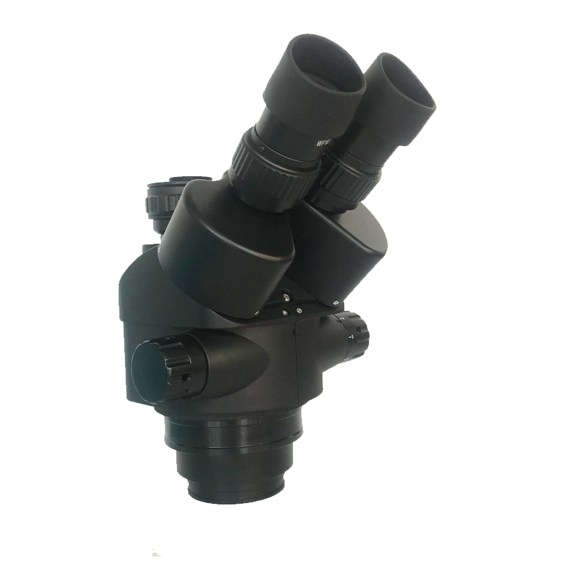 Testa per microscopio trinocul - Trinocular Stereo Microscope 7X-45X recensione e prezzo